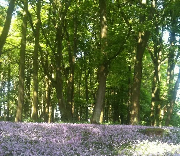 Thornton 住宿加早餐酒店 艾斯加斯