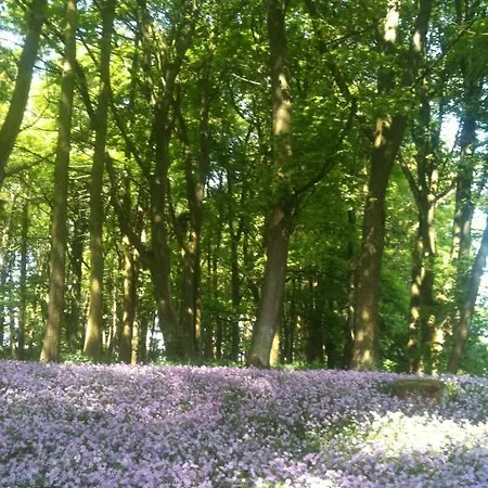 Thornton Bed and breakfast Aysgarth